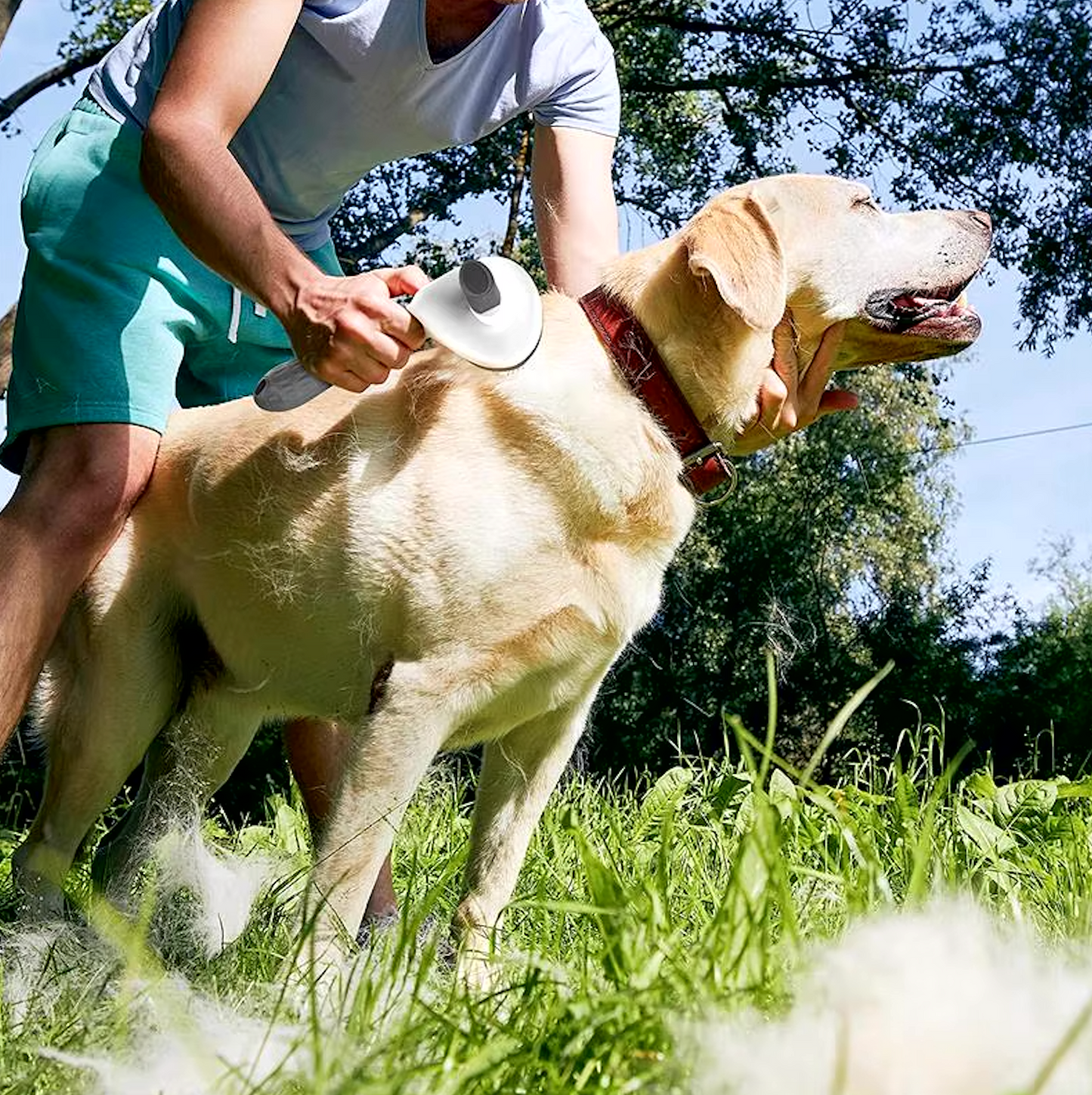 FurryGroom - Brosse de toilettage pour chien et chat